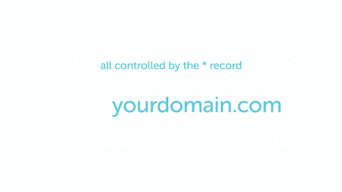 star record meaning